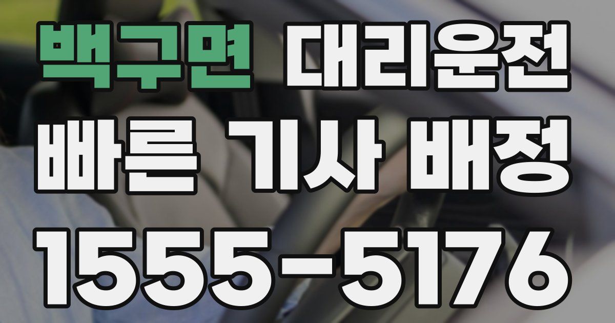 일일대리기사