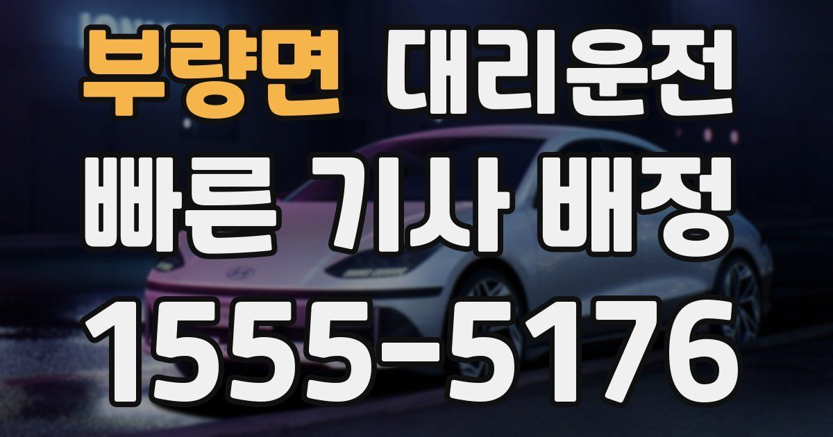 일일대리기사