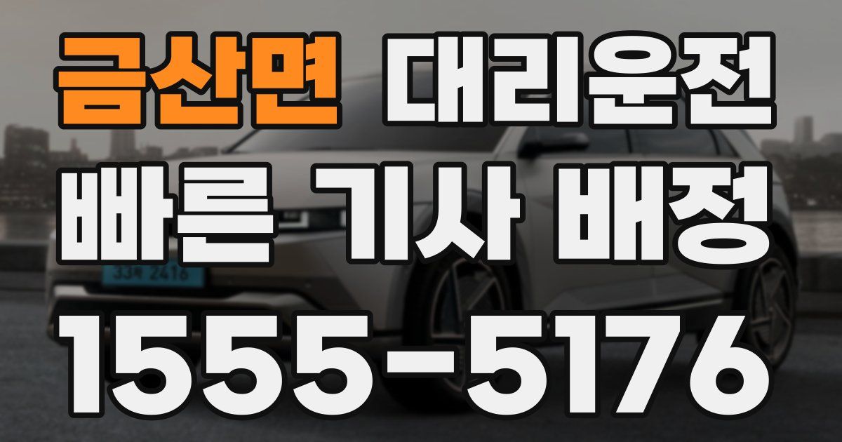 일일대리기사