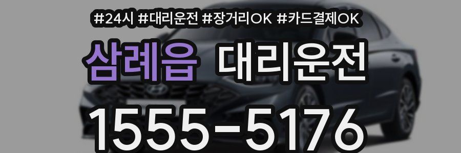 삼례읍 대리운전