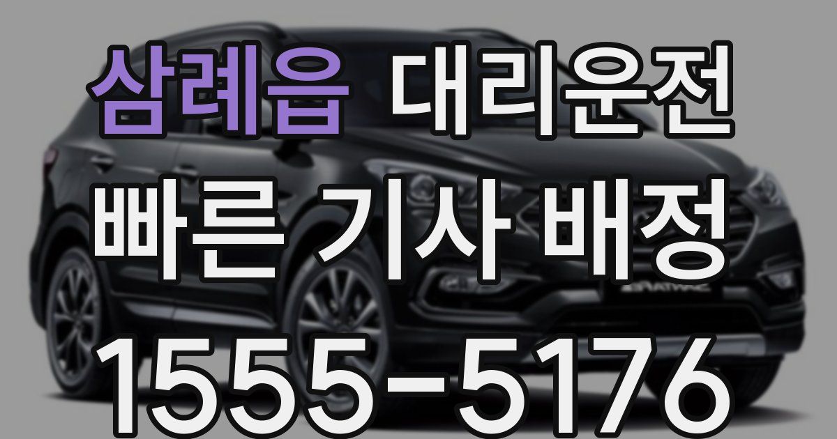 일일대리기사