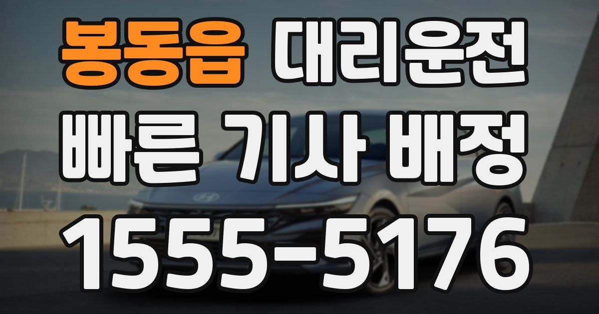 일일대리기사