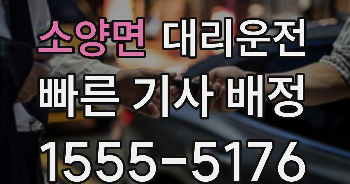 일일대리기사