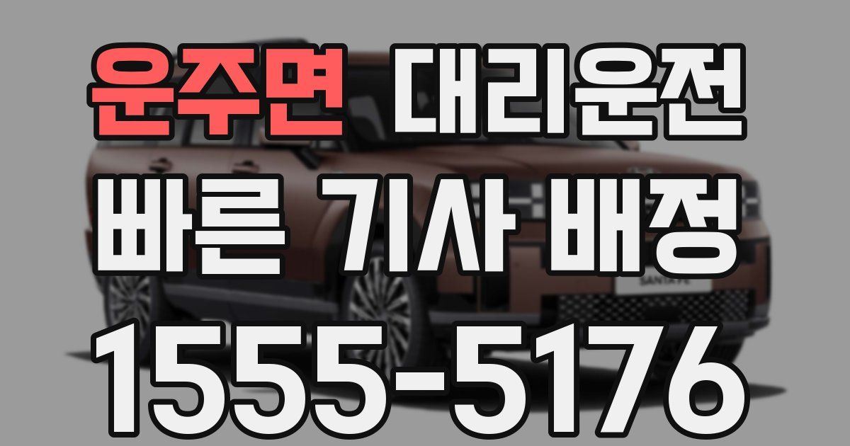일일대리기사