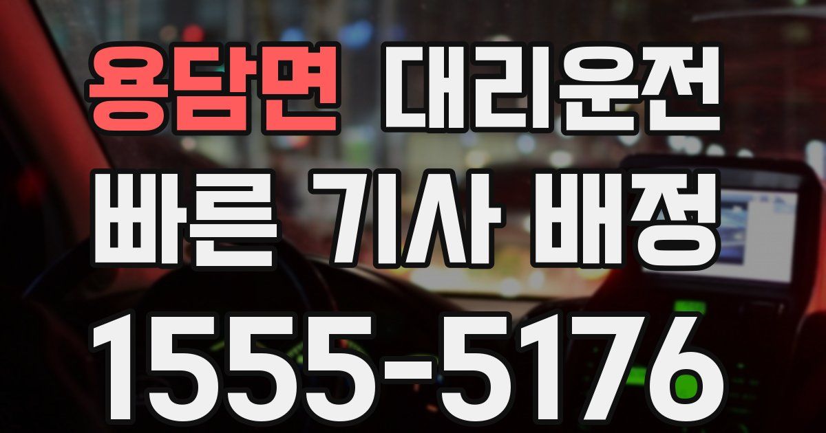 일일대리기사