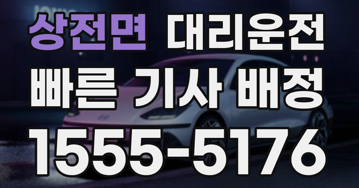일일대리기사