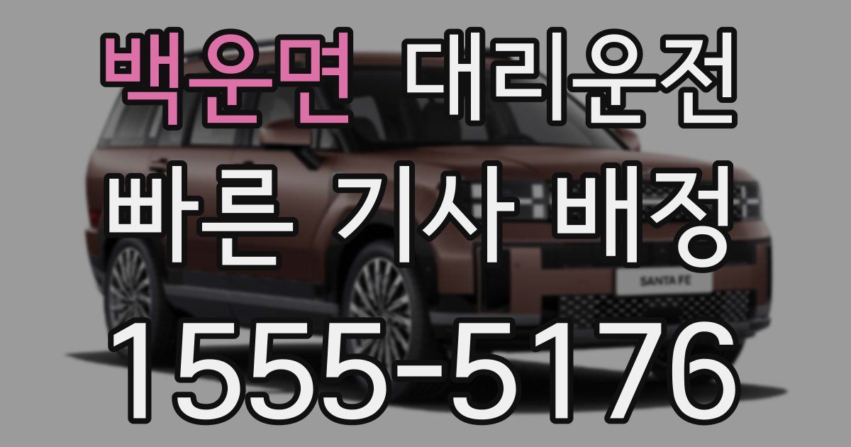일일대리기사