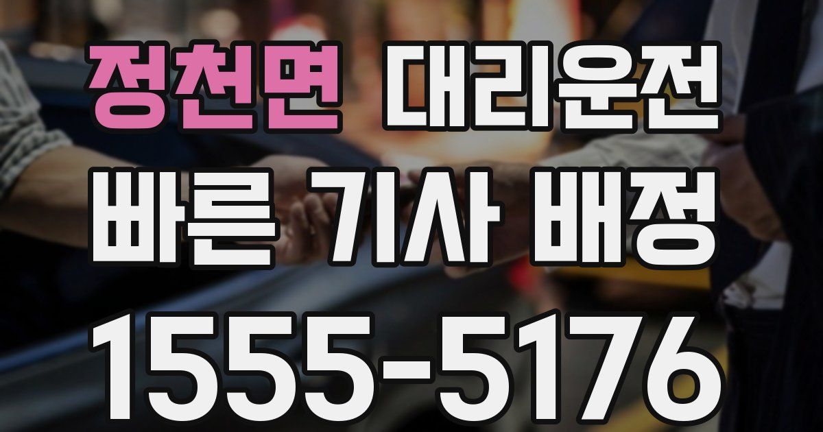 일일대리기사