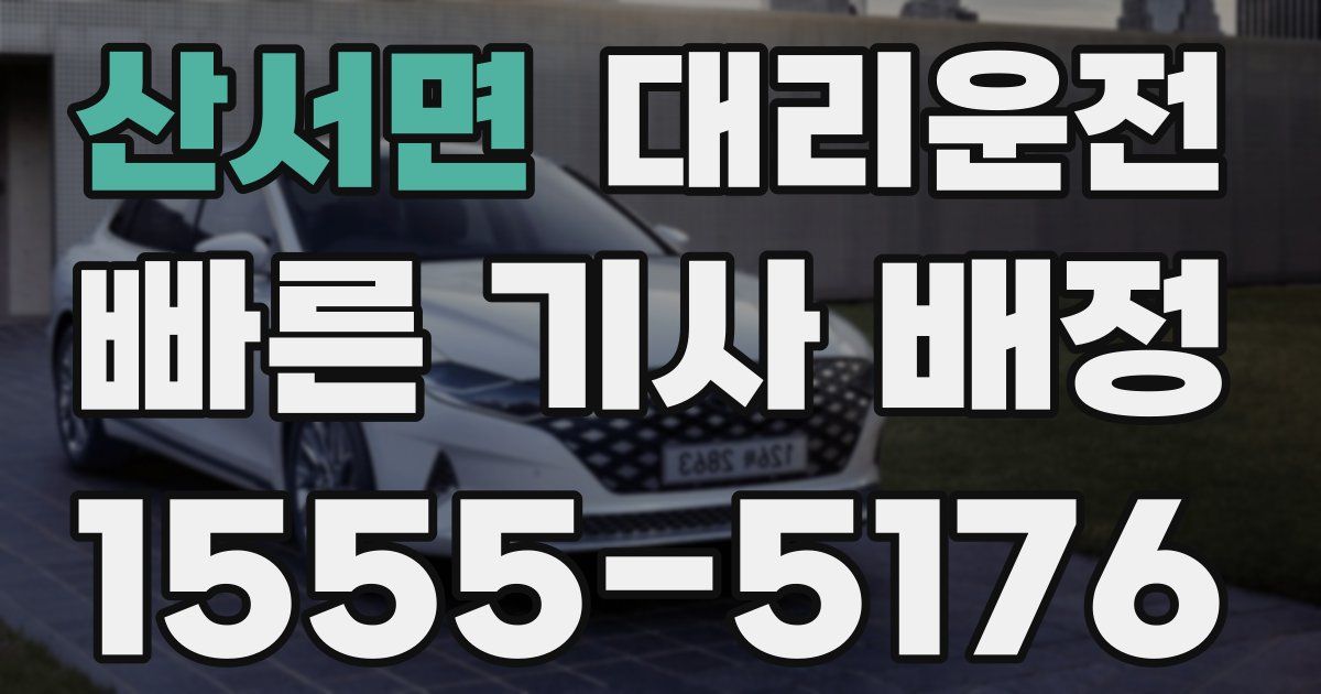 일일대리기사