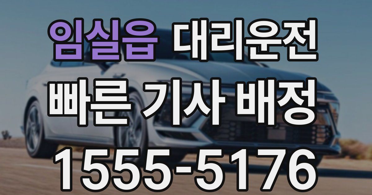 일일대리기사
