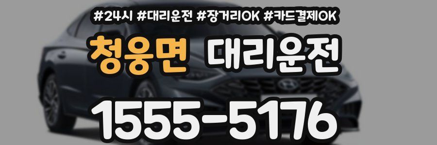 청웅면 대리운전