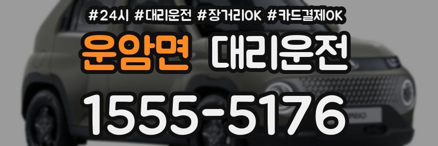운암면 대리운전