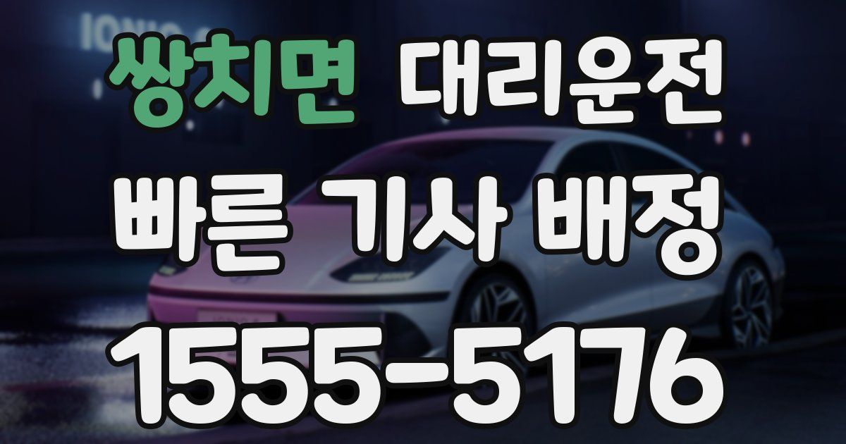 일일대리기사