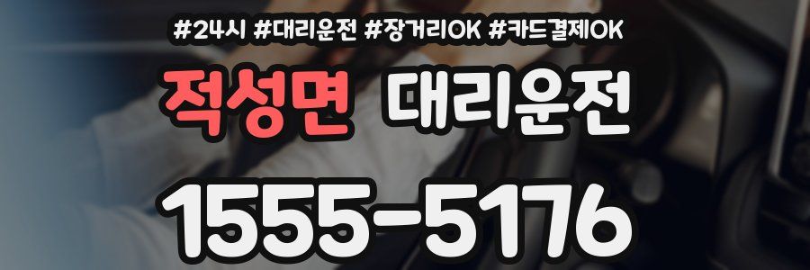 적성면 대리운전