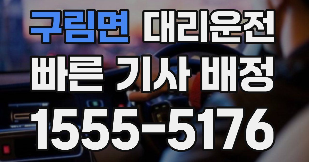 일일대리기사