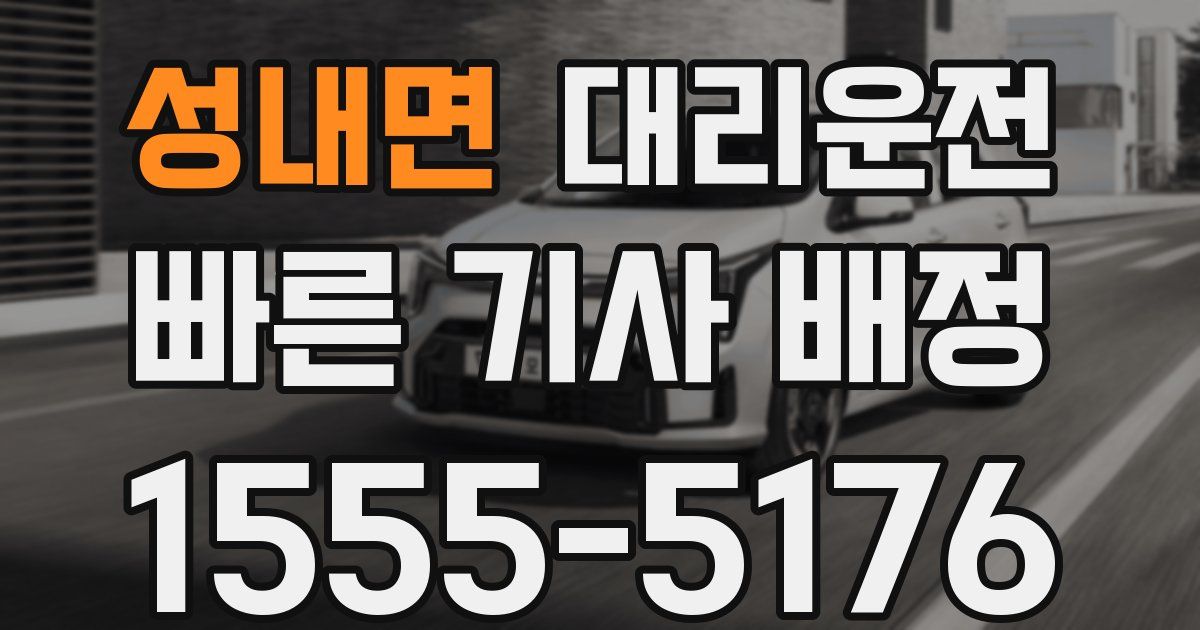 일일대리기사