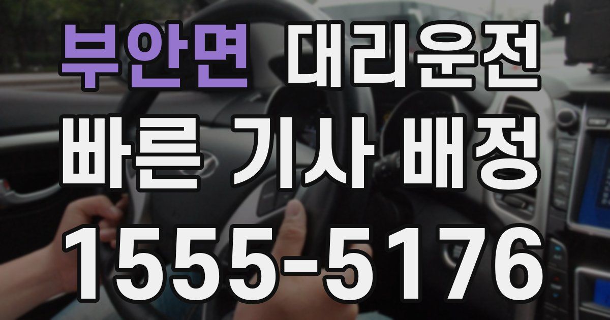 일일대리기사