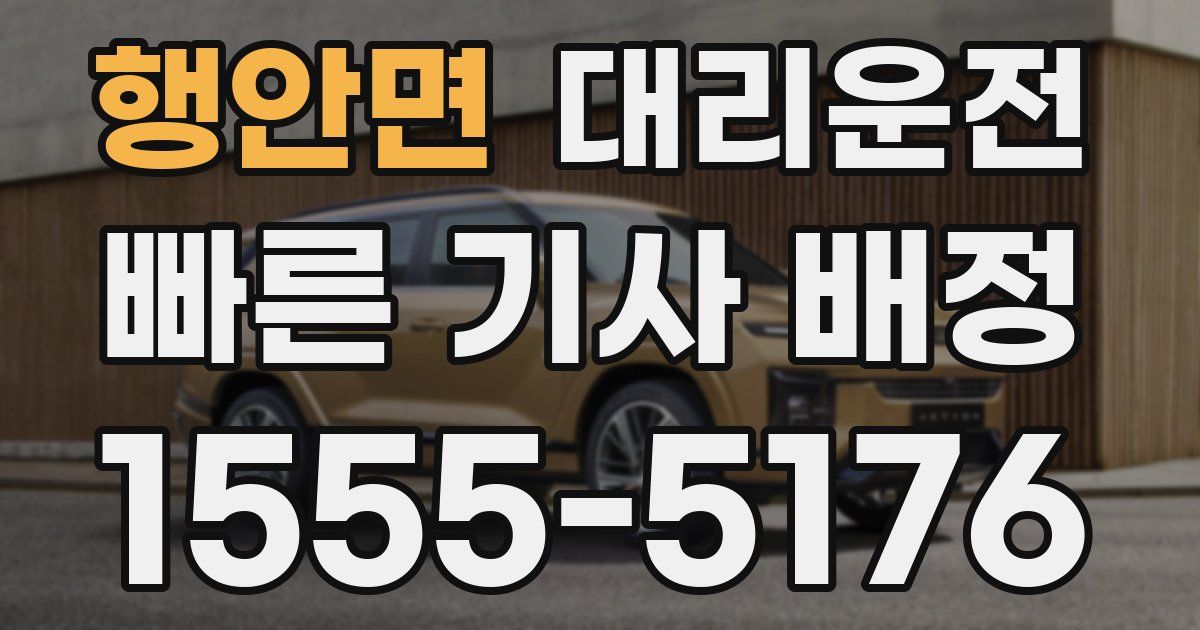 일일대리기사