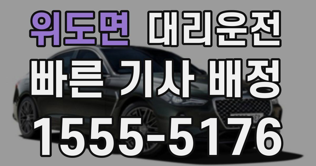 일일대리기사