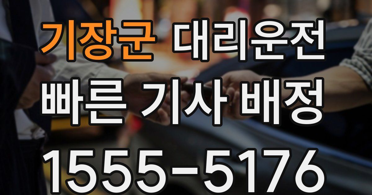 일일대리기사