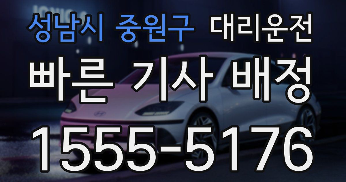 일일대리기사