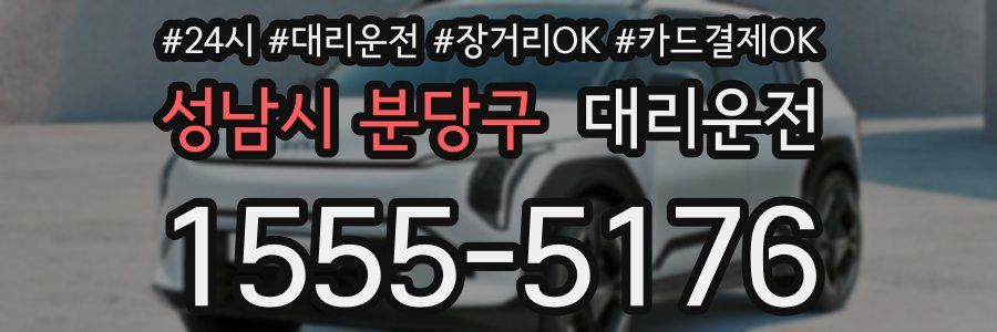 성남시 분당구 대리운전