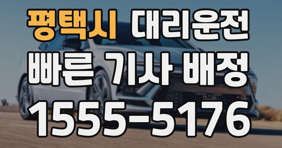 일일대리기사