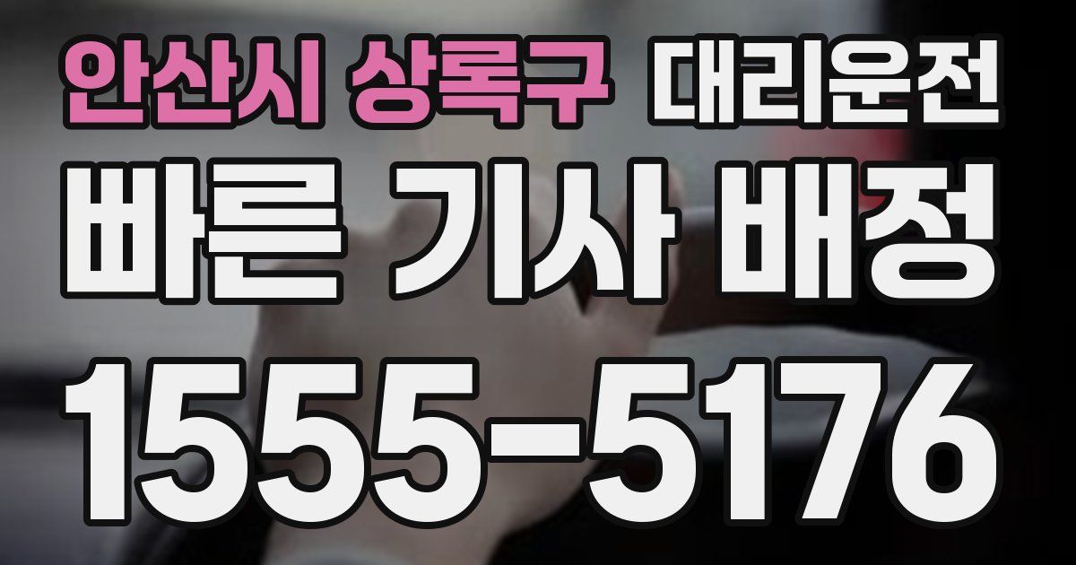 일일대리기사
