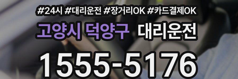 고양시 덕양구 대리운전