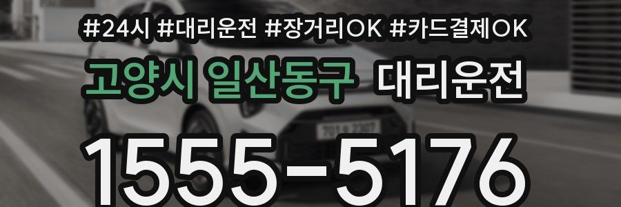 고양시 일산동구 대리운전