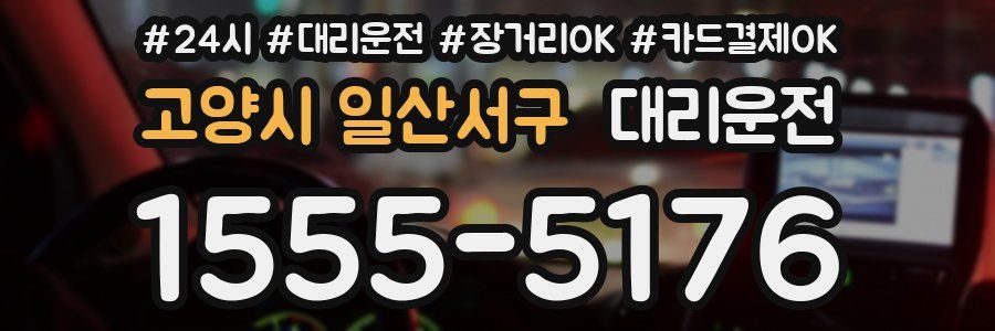 고양시 일산서구 대리운전