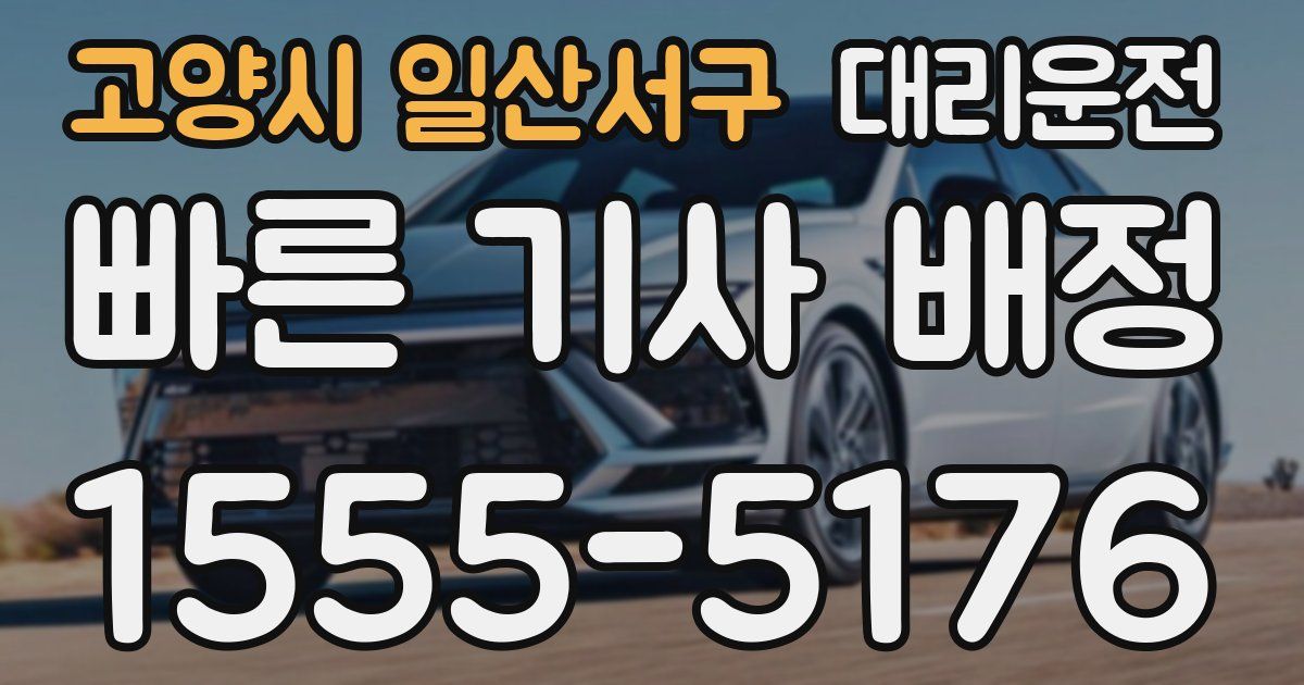 일일대리기사