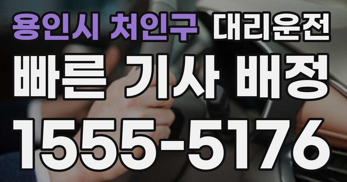 일일대리기사