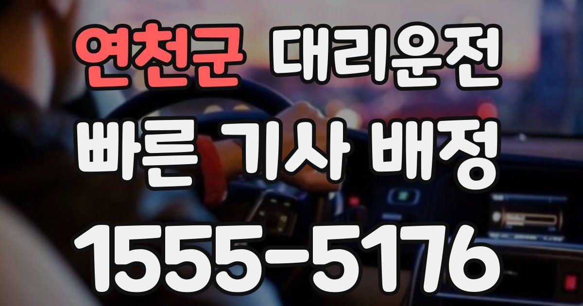 일일대리기사