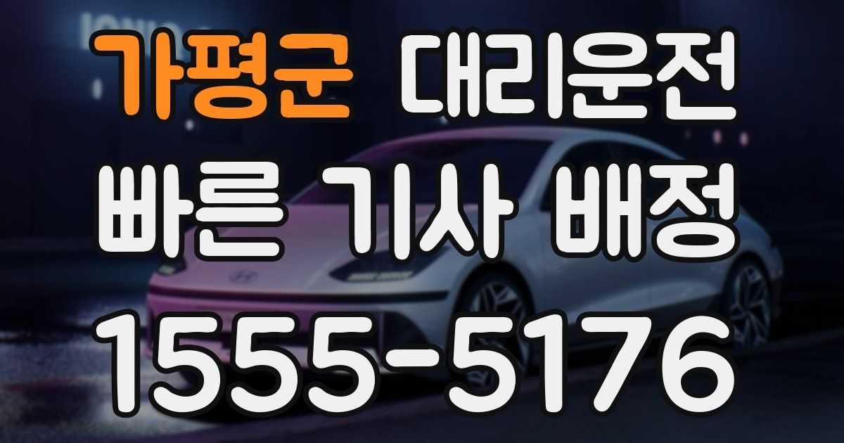 일일대리기사