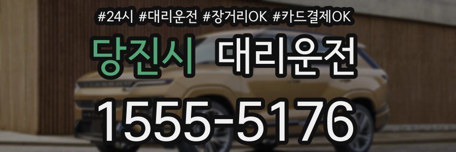 당진시 대리운전
