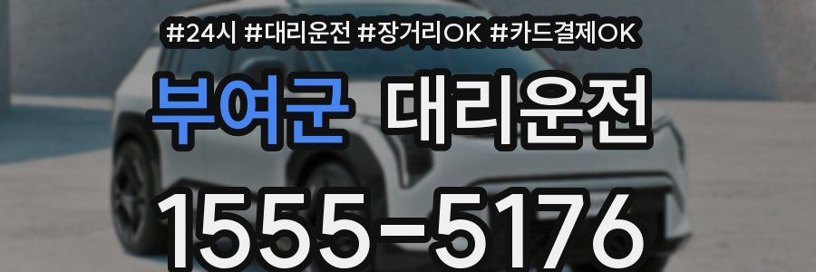 부여군 대리운전