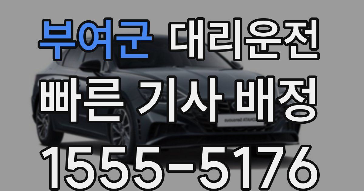 일일대리기사