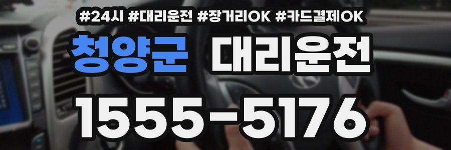 청양군 대리운전