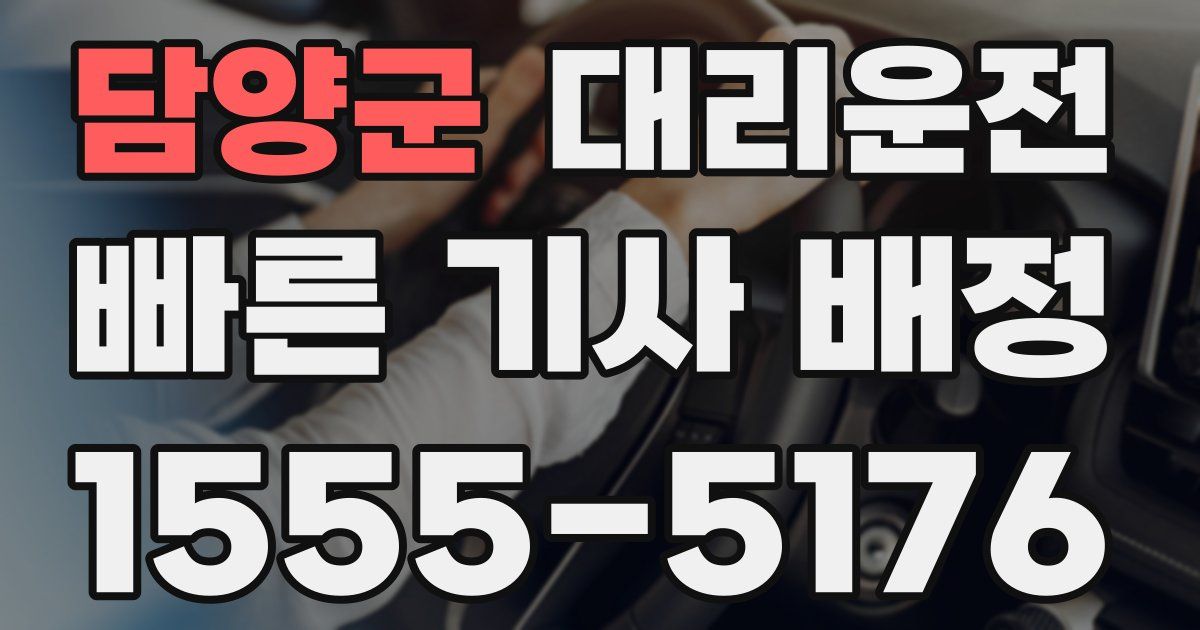 일일대리기사