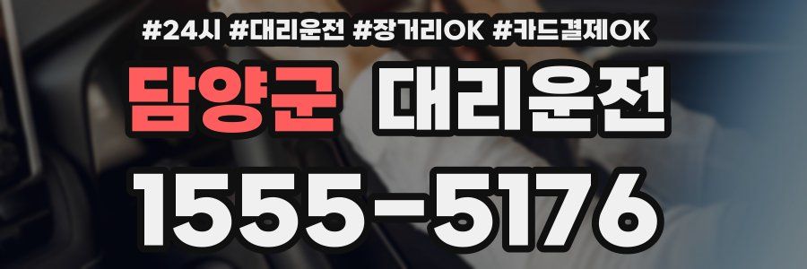 담양군 대리운전