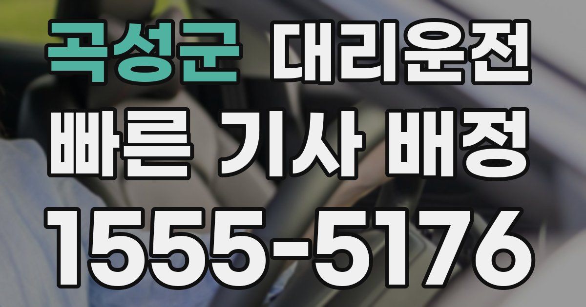 일일대리기사