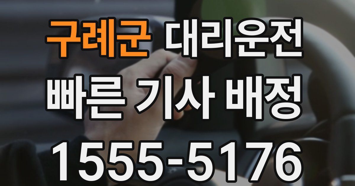 일일대리기사