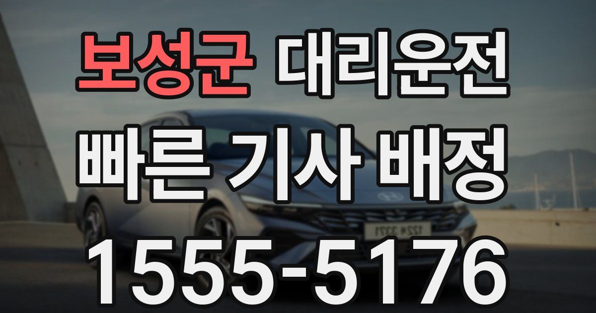 일일대리기사