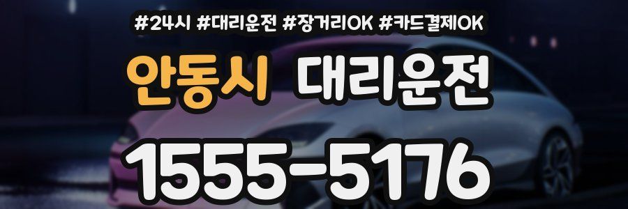 안동시 대리운전