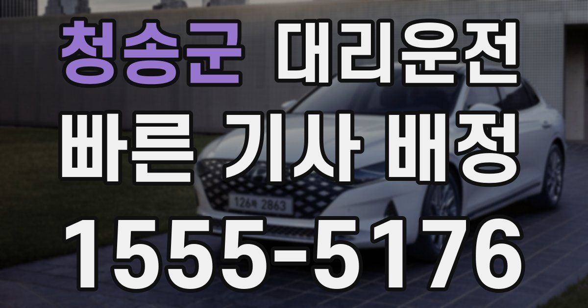 일일대리기사