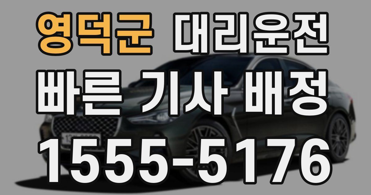 일일대리기사