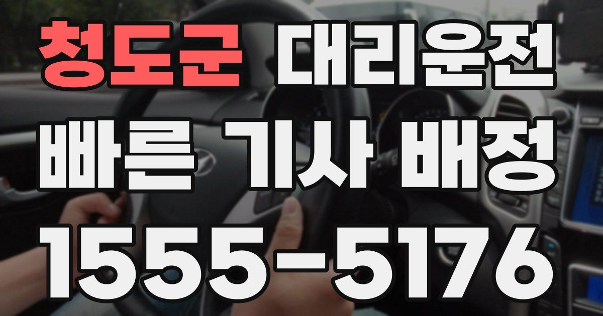 일일대리기사