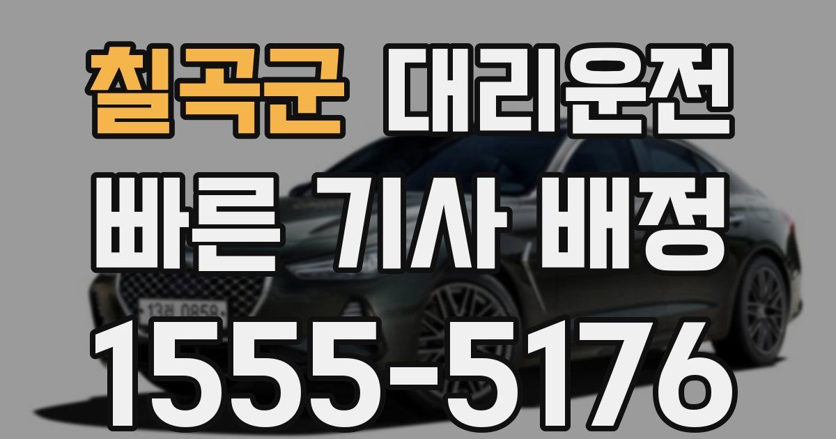 일일대리기사