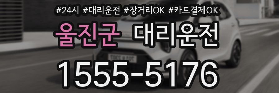 울진군 대리운전